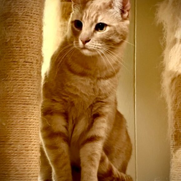 Meet your Posher, Jay - Picture 7 of 9